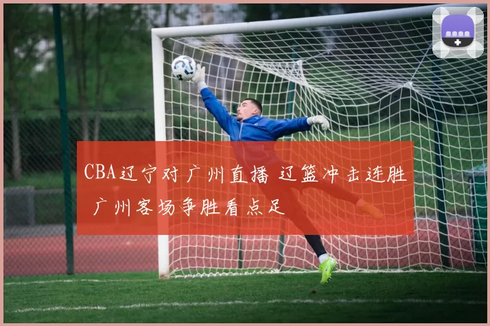 CBA辽宁对广州直播 辽篮冲击连胜 广州客场争胜看点足