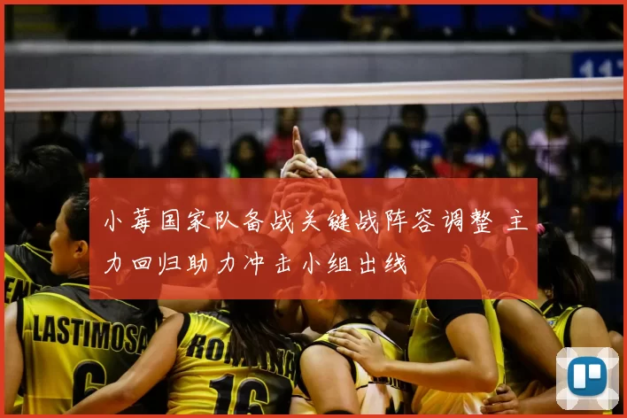 小莓国家队备战关键战阵容调整 主力回归助力冲击小组出线